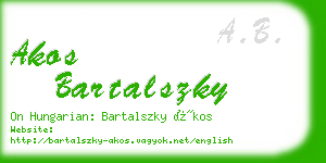 akos bartalszky business card